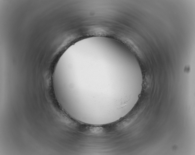 X0000096150355200802011238