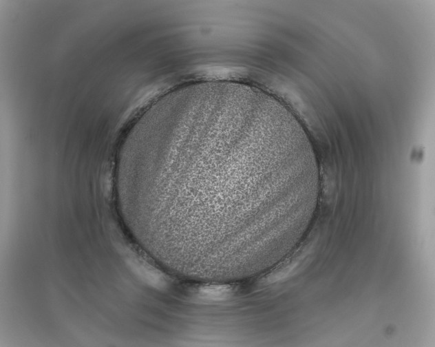 X0000096150357200802011238