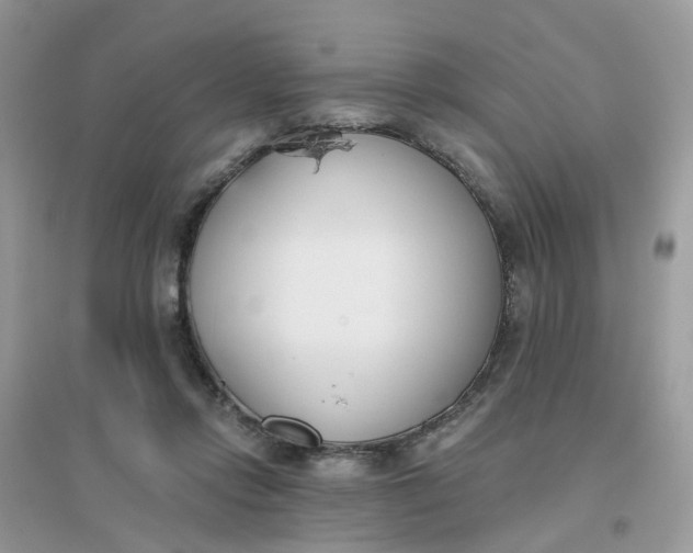 X0000096150358200802011238