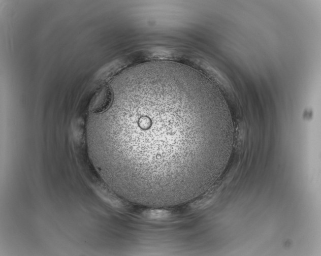 X0000096150361200802011238