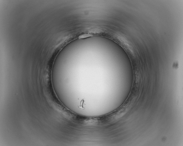 X0000096150362200802011238