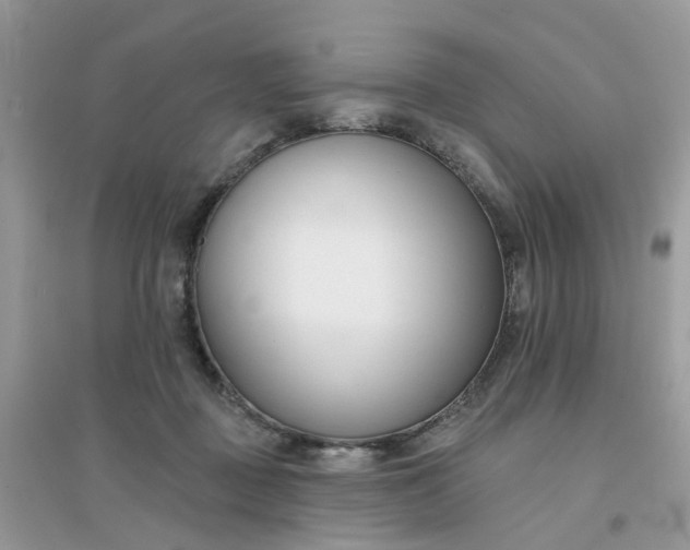 X0000096150363200802011238