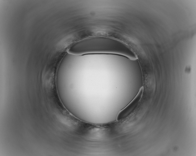 X0000096150364200802011238