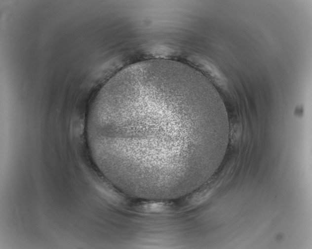 X0000096150365200802011238