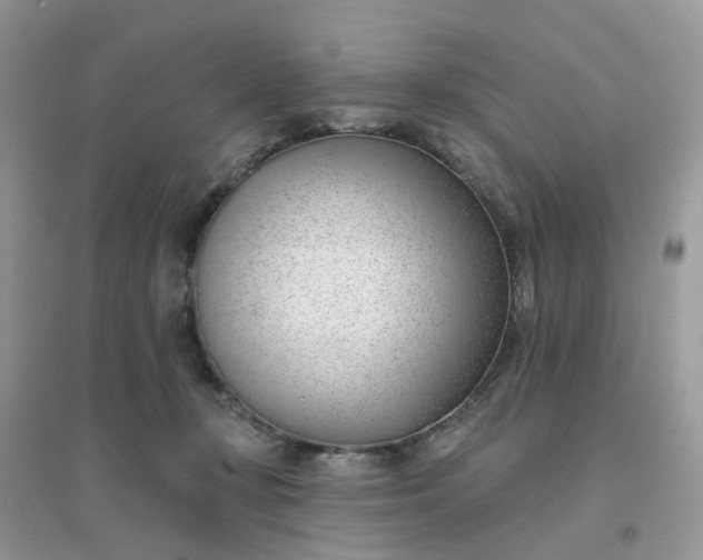 X0000096150367200802011238