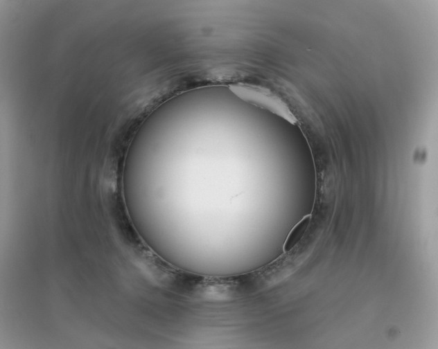 X0000096150368200802011238