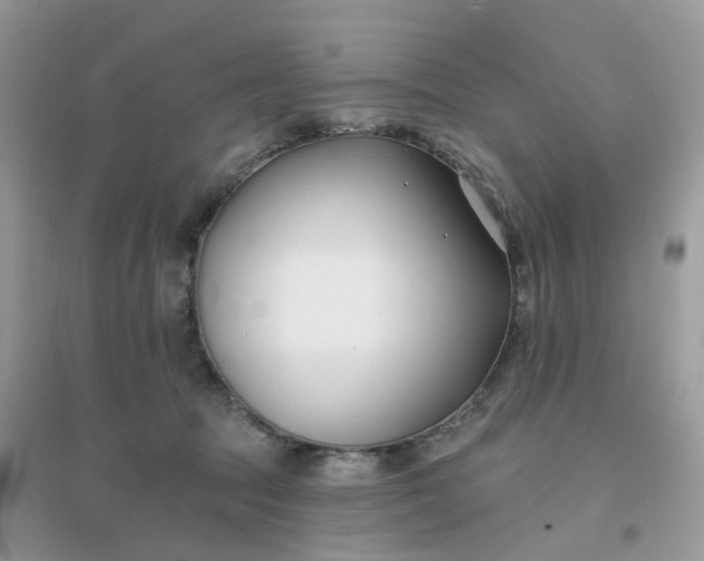 X0000096150369200802011238