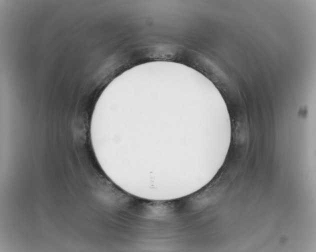 X0000096150370200802011238