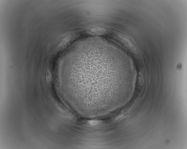 X0000096150371200802011238