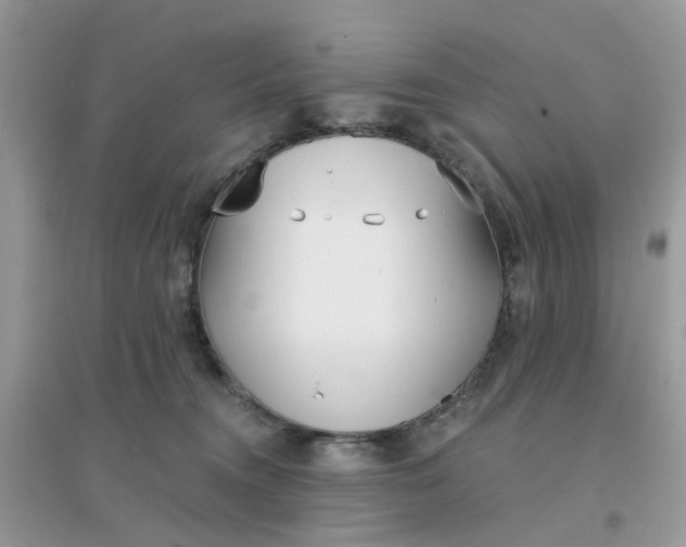 X0000096150372200802011238