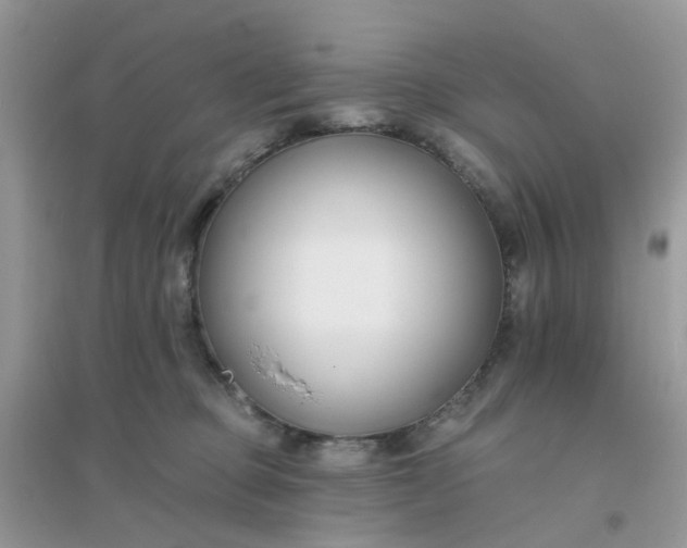 X0000096150373200802011238