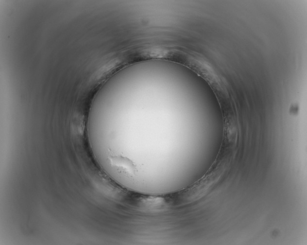 X0000096150374200802011238