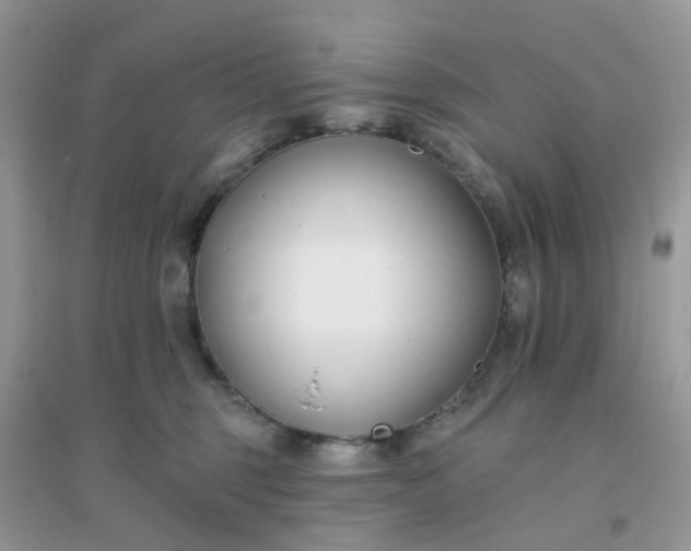 X0000096150375200802011238