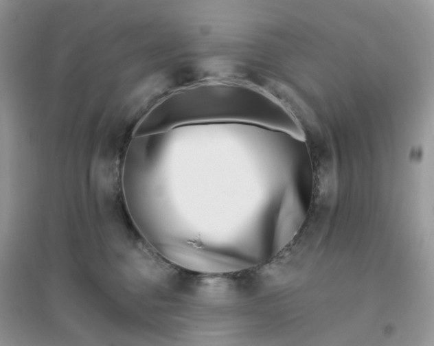 X0000096150376200802011238