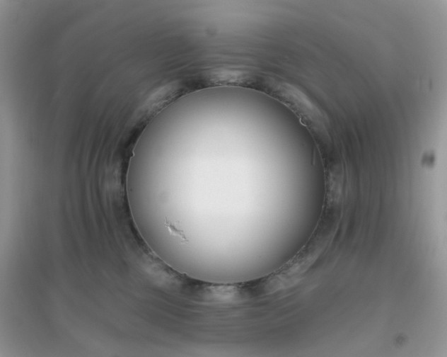 X0000096150377200802011238