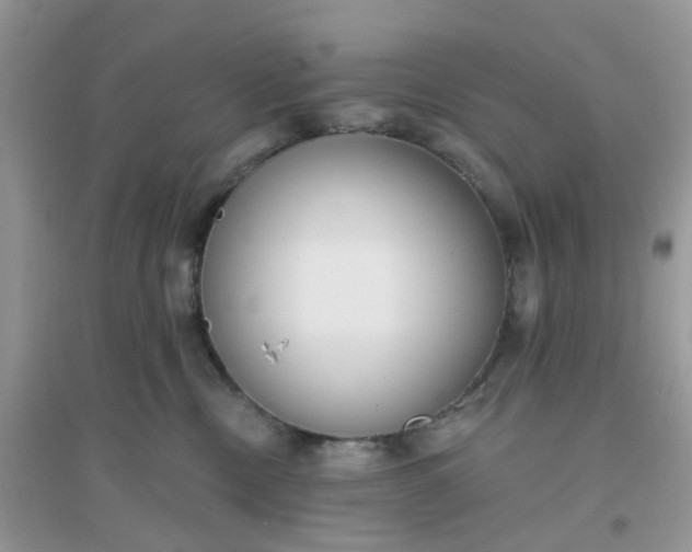 X0000096150378200802011238