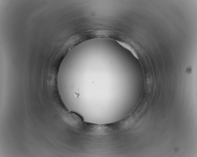 X0000096150379200802011238