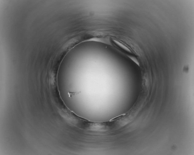 X0000096150380200802011238