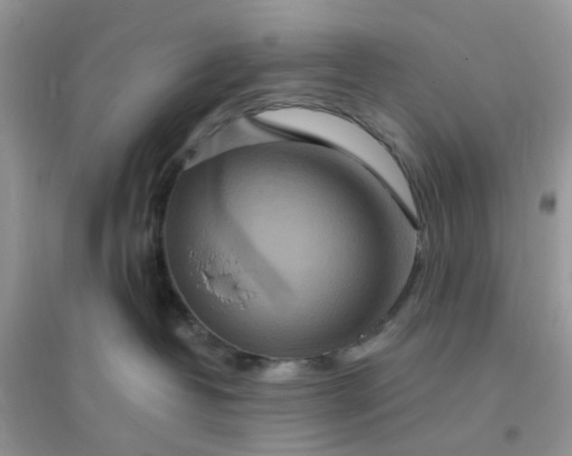 X0000096150382200802011238
