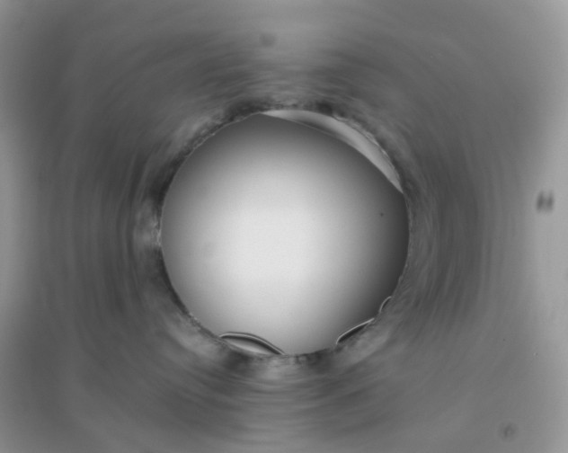 X0000096150384200802011238