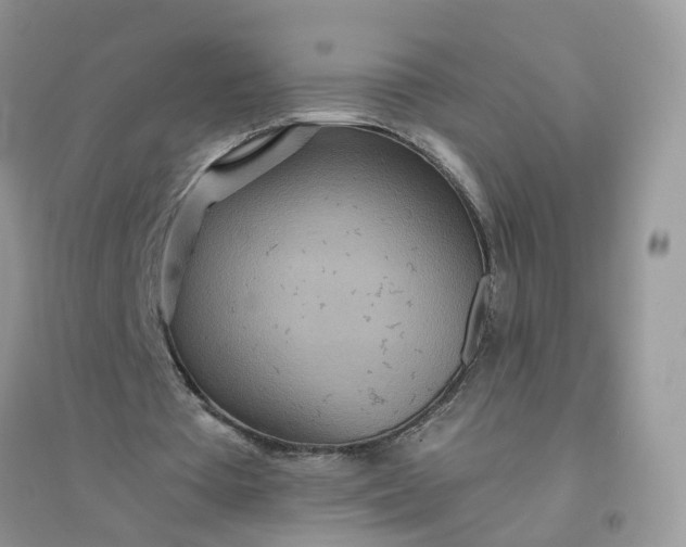 X0000096150385200802011238