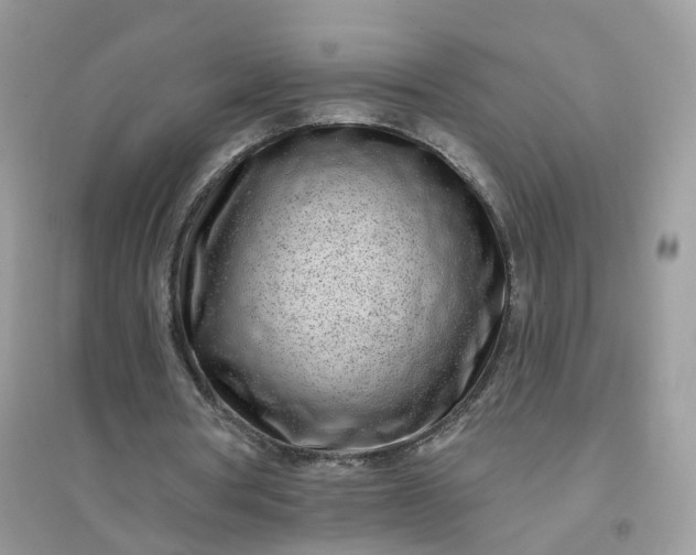 X0000096150386200802011238