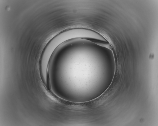 X0000096150389200802011238