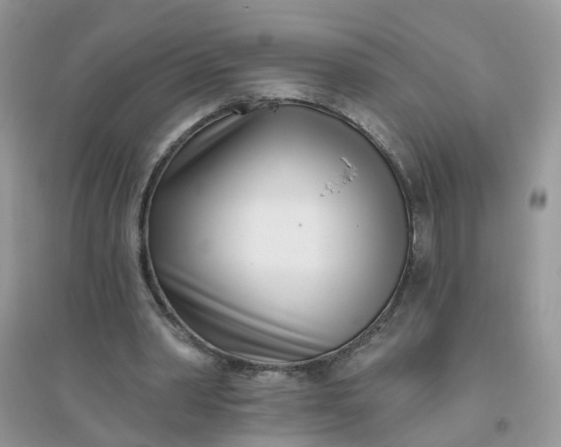 X0000096150390200802011238