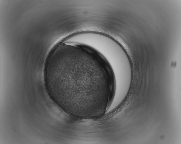 X0000096150391200802011238