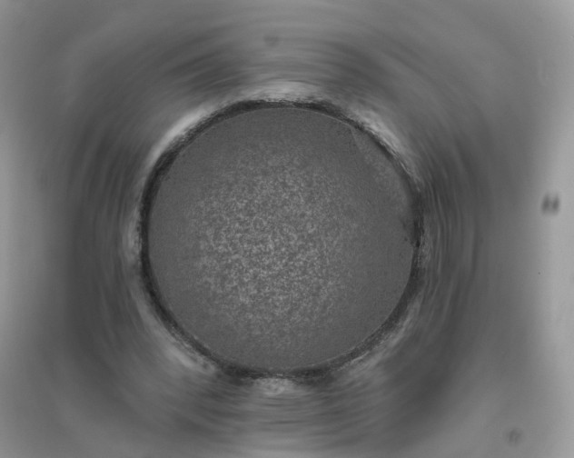 X0000096150392200802011238