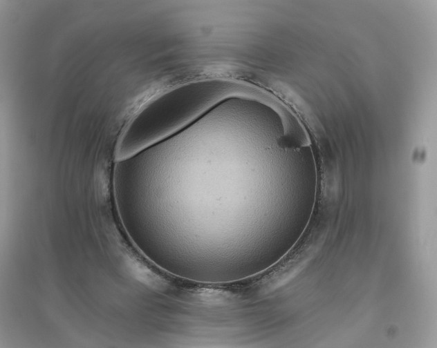 X0000096150393200802011237