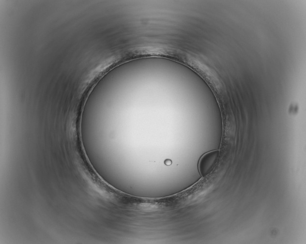 X0000096150394200802011237