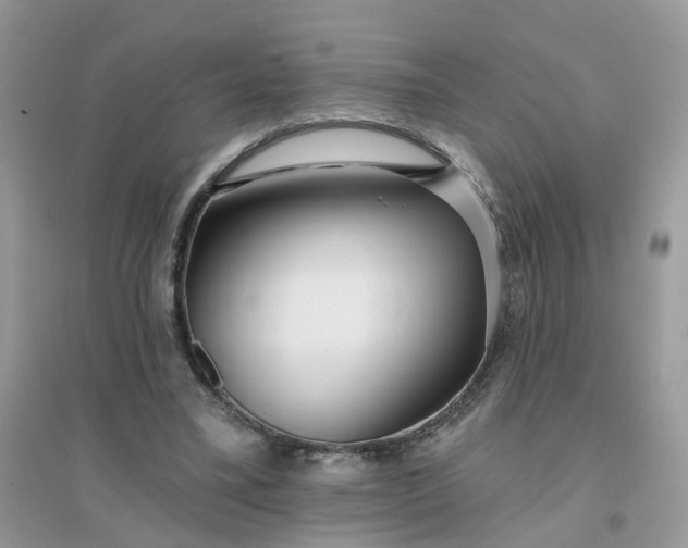 X0000096150395200802011237