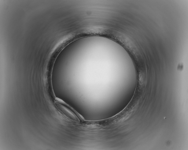 X0000096150396200802011237