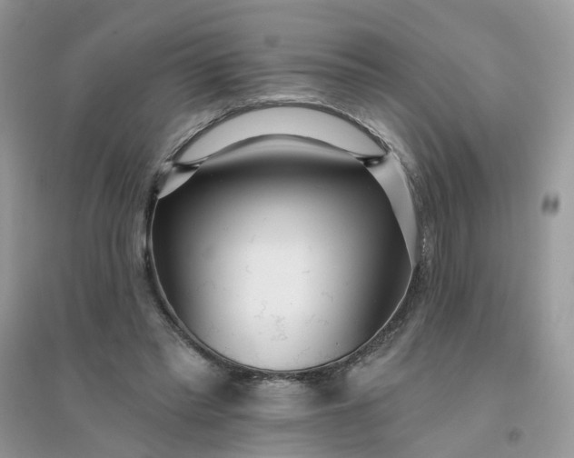 X0000096150397200802011237