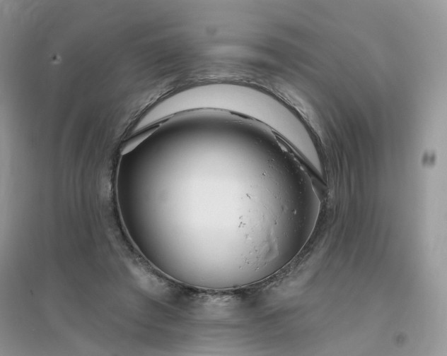 X0000096150401200802011237