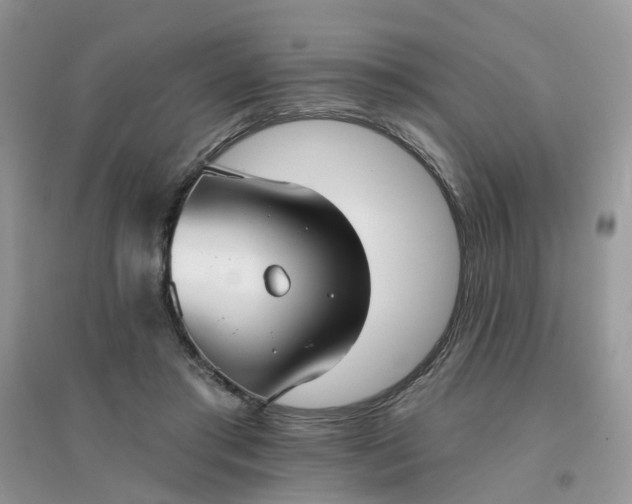X0000096150405200802011237