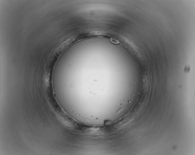 X0000096150406200802011237