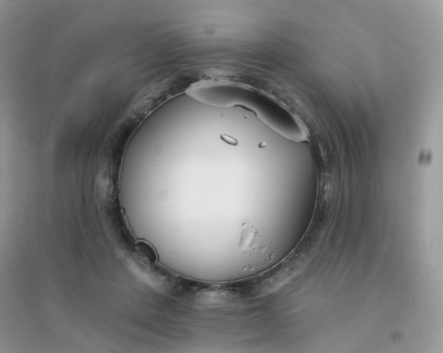 X0000096150408200802011237