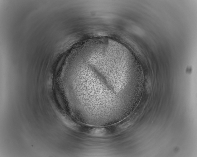 X0000096150410200802011237