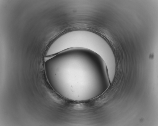 X0000096150411200802011237