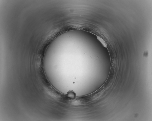 X0000096150412200802011237