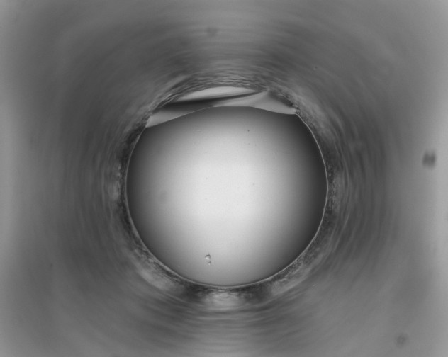 X0000096150413200802011237