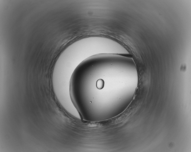 X0000096150415200802011237