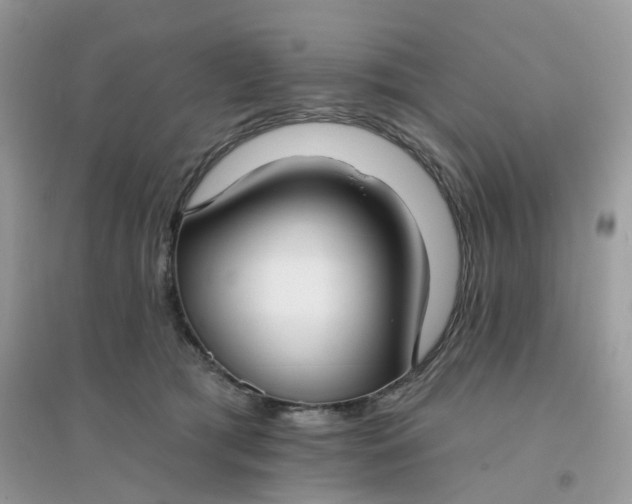 X0000096150417200802011237