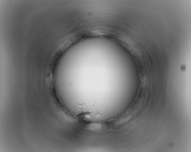 X0000096150418200802011237