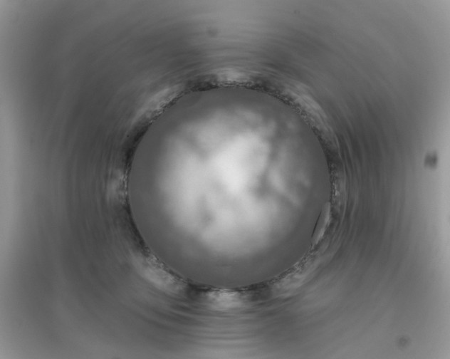 X0000096150419200802011237