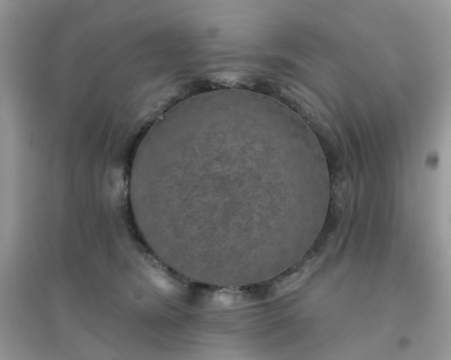 X0000096150420200802011237