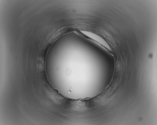 X0000096150421200802011237