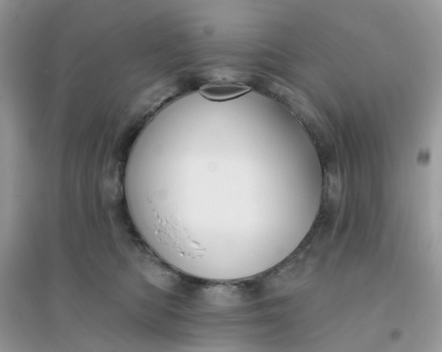 X0000096150422200802011237